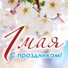 post-image-4367